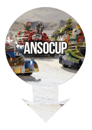 Anso Cup